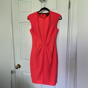 Ted Baker Dress